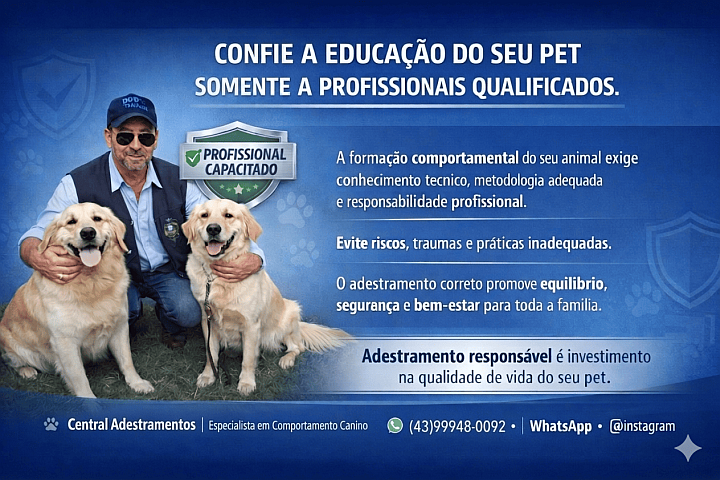 You are currently viewing A importância da qualificação profissional para adestramento de cães
